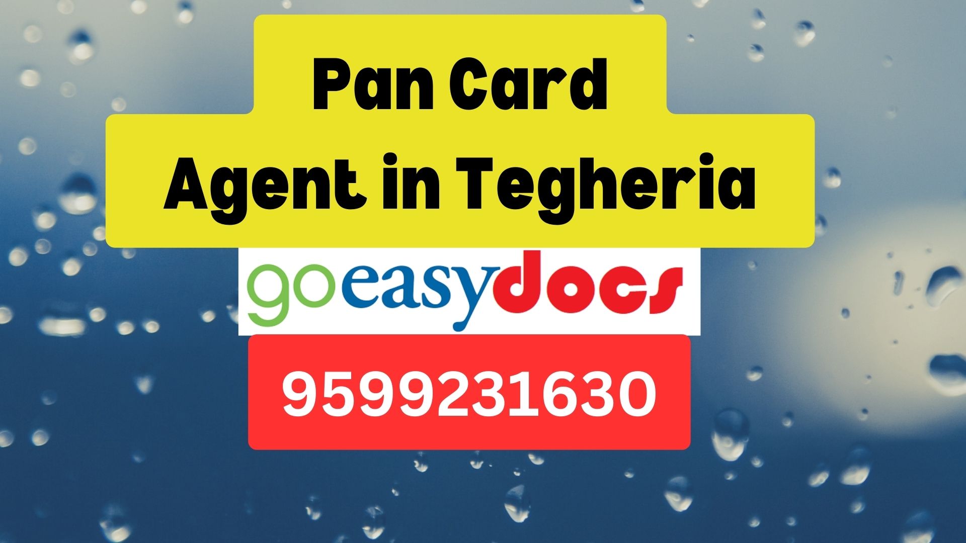 Pan Card Agent Consultant in Tegheria  8851415812