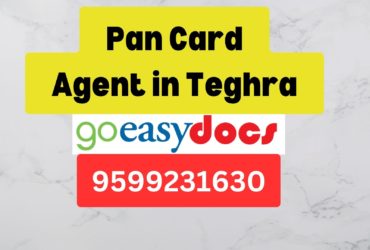 Pan Card Agent Consultant in Teghra  8851415812