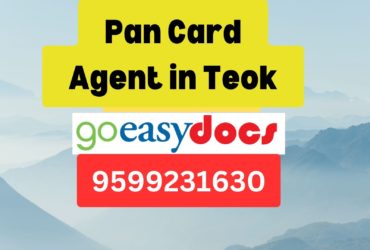 Pan Card Agent Consultant in Teok  8851415812