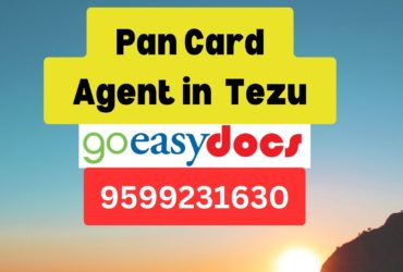 Pan Card Agent Consultant in Tezu  8851415812