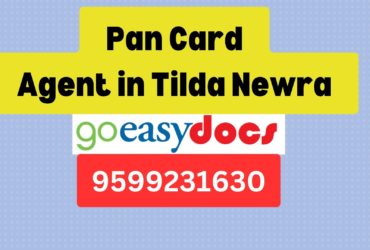 Pan Card Agent Consultant in Tilda Newra 8851415812