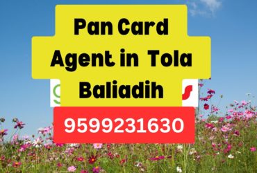 Pan Card Agent Consultant in Tola Baliadih  8851415812