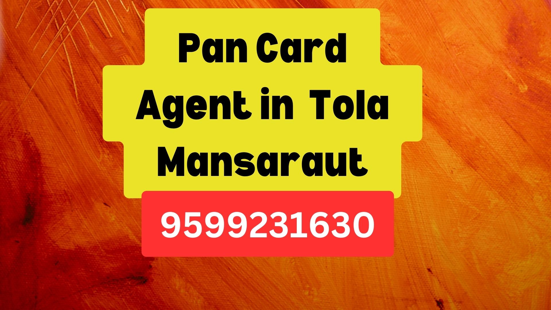 Pan Card Agent Consultant in Tola Mansaraut  8851415812