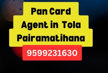 Pan Card Agent Consultant in Tola Pairamatihana  8851415812