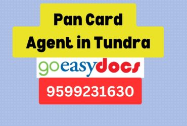 Pan Card Agent Consultant in Tundra 8851415812