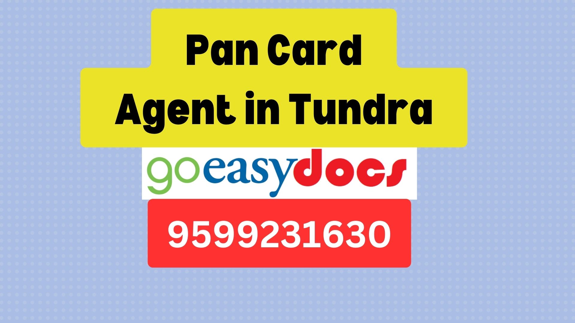 Pan Card Agent Consultant in Tundra 8851415812