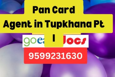 Card Agent Consultant in Tupkhana Pt I  8851415812