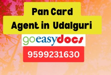 Pan Card Agent Consultant in Udalguri   8851415812