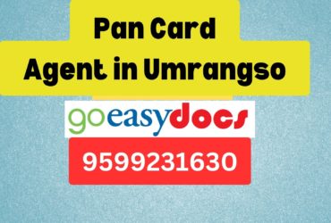 Pan Card Agent Consultant in Umrangso  8851415812