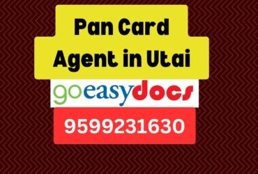 Pan Card Agent Consultant in Utai 8851415812