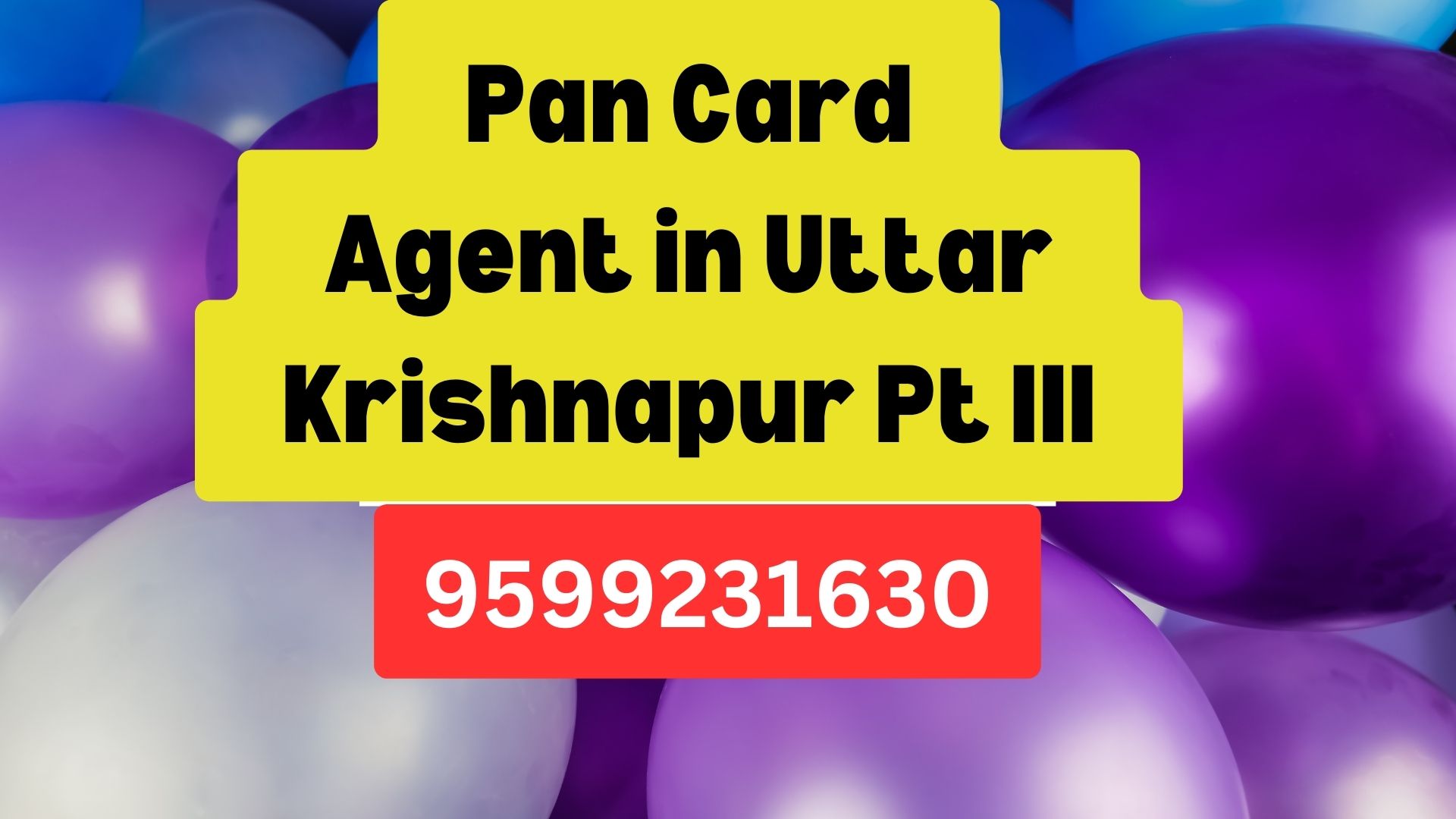 Pan Card Agent Consultant in Uttar Krishnapur Pt III  8851415812