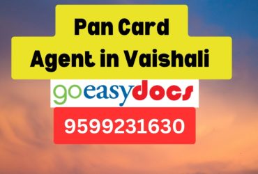 Pan Card Agent Consultant in Vaishali   8851415812