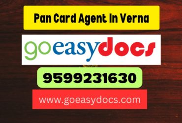 Pan Card Agent Consultant in Verna 8851415812