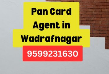 h1>Pan Card Agent Consultant in Wadrafnagar 8851415812