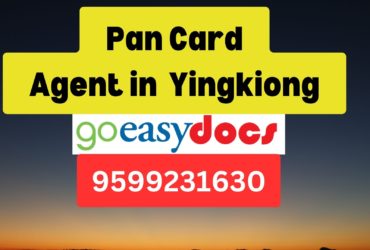 Pan Card Agent Consultant in Yingkiong  8851415812