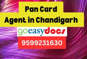 Pan Card Agent Consultant in Chandigarh 8851415812