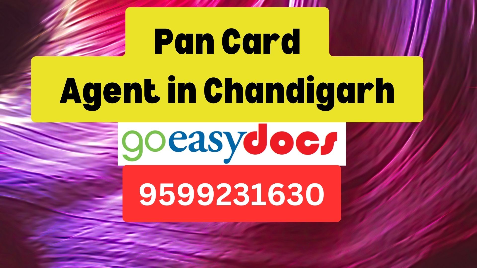 Pan Card Agent Consultant in Chandigarh 8851415812