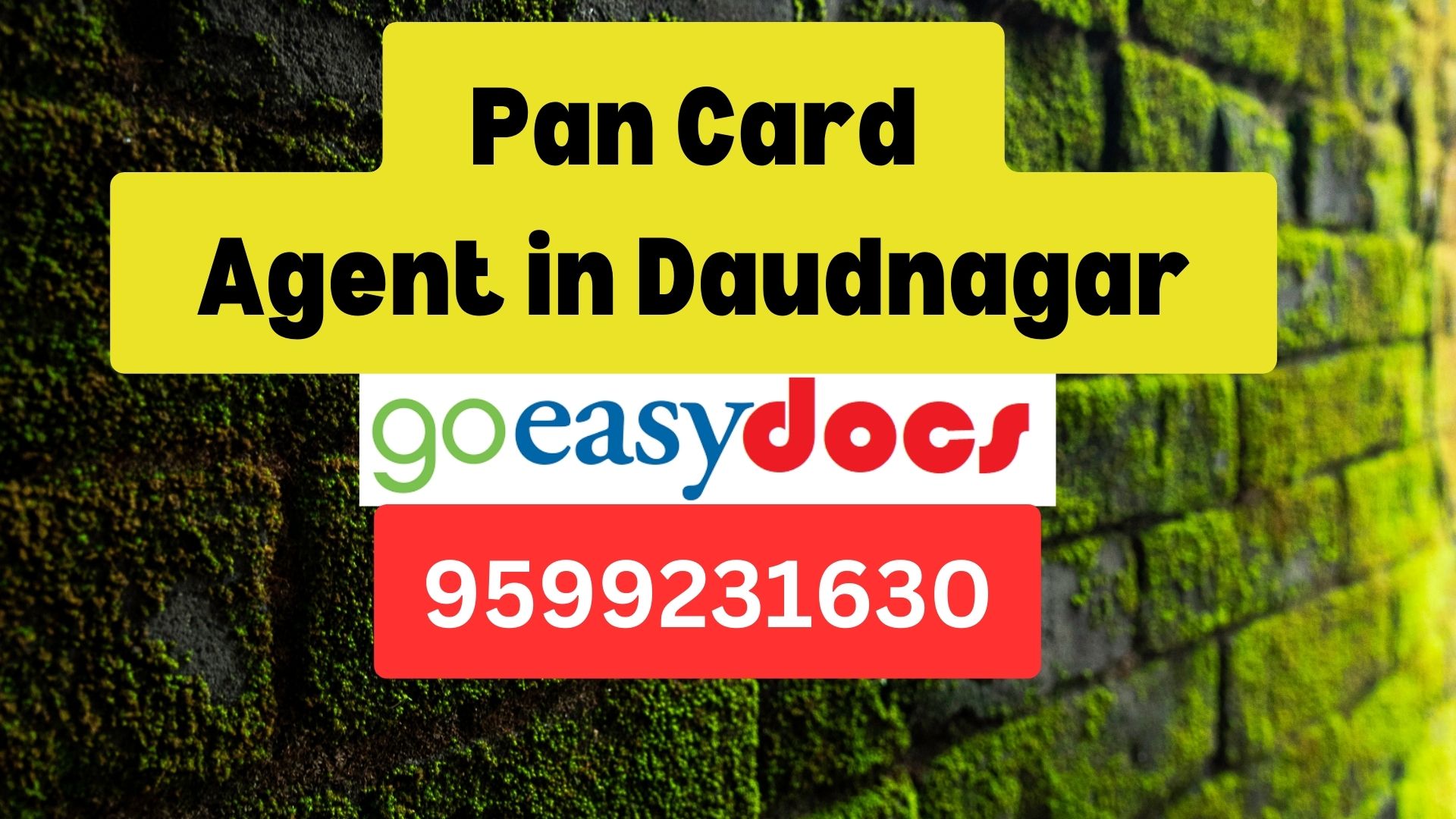 Pan Card Agent Consultant in Daudnagar  8851415812