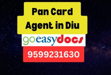 Pan Card Agent Consultant in Diu 8851415812