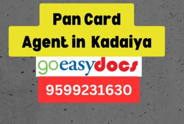 Pan Card Agent Consultant in Kadaiya 8851415812