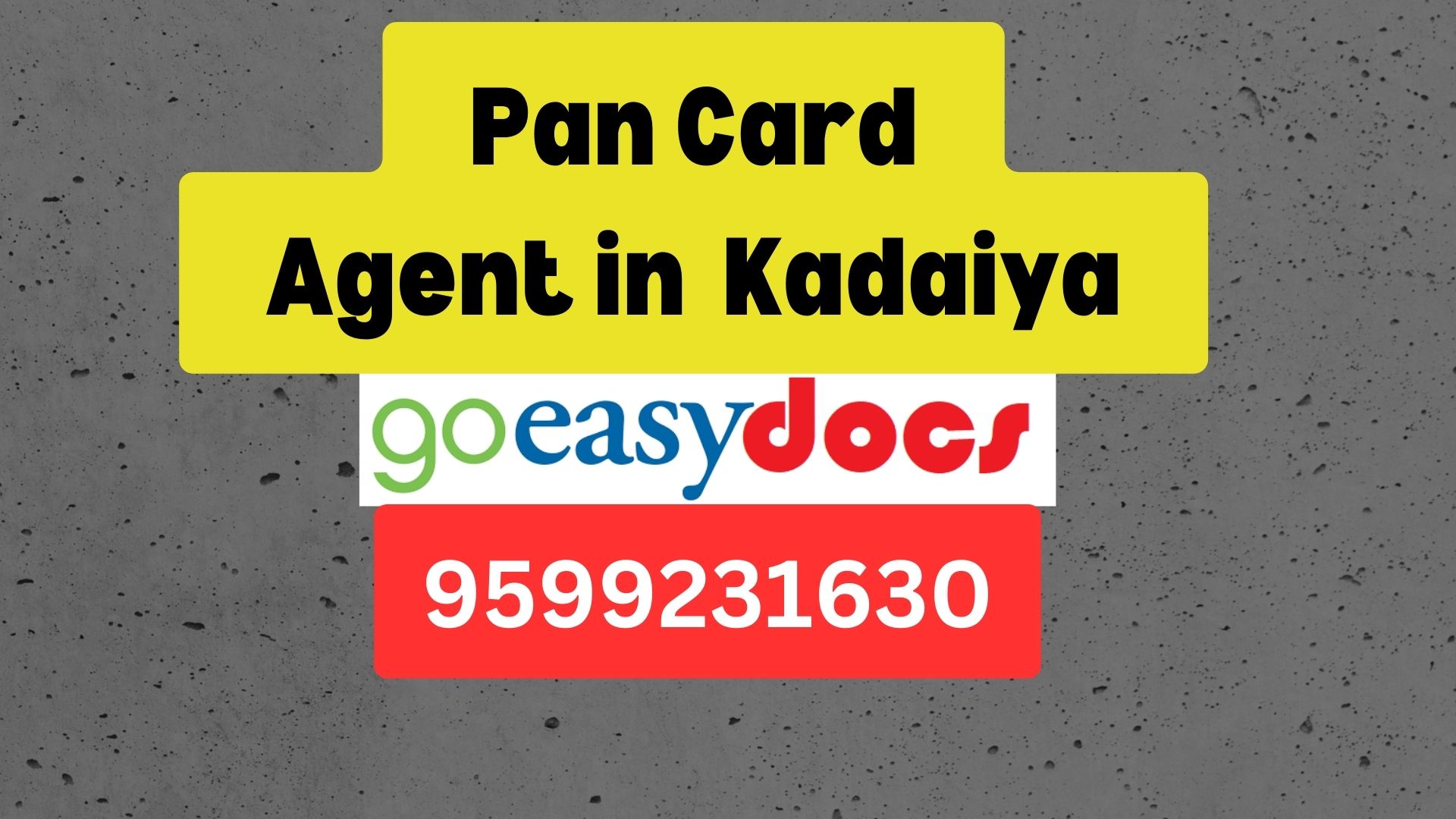 Pan Card Agent Consultant in Kadaiya 8851415812