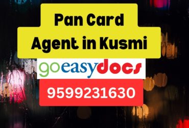 Pan Card Agent Consultant in Kusmi 8851415812