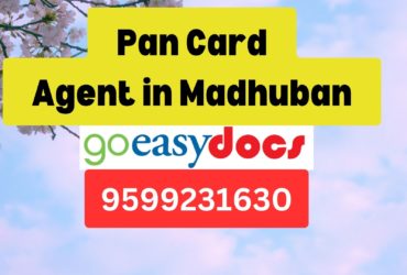 Pan Card Agent Consultant in Madhuban 8851415812