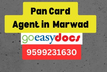 Pan Card Agent Consultant in Marwad 8851415812