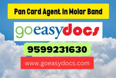 Pan Card Agent Consultant in Molar Band 8851415812