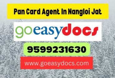 Pan Card Agent Consultant in Nangloi Jat 8851415812