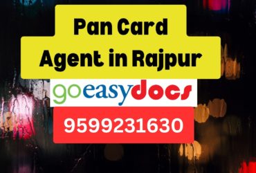 Pan Card Agent Consultant in Rajpur 8851415812