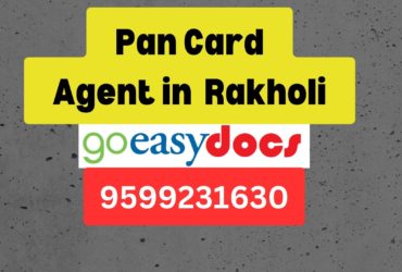 Pan Card Agent Consultant in Rakholi 8851415812