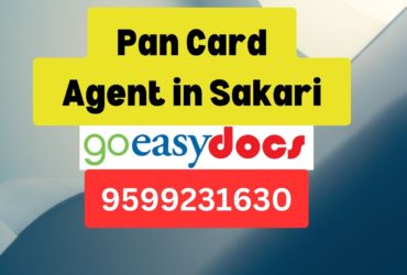 Pan Card Agent Consultant in Sakari 8851415812