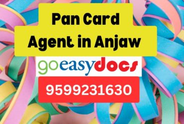 Pan Card Agent Consultant in Anjaw  8851415812