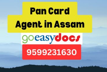 Pan Card Agent Consultant in Assam  8851415812