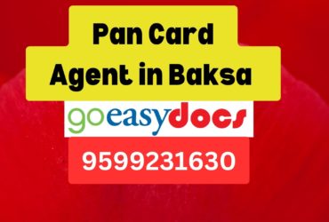 Pan Card Agent Consultant in Baksa  8851415812