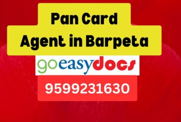 Pan Card Agent Consultant in Barpeta  8851415812