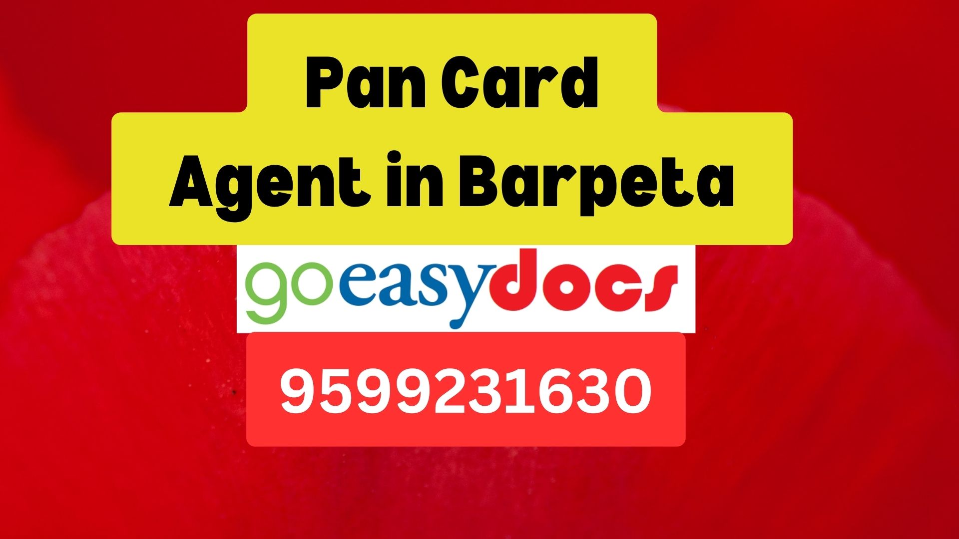 Pan Card Agent Consultant in Barpeta  8851415812