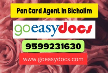 Pan Card Agent Consultant in Bicholim 8851415812