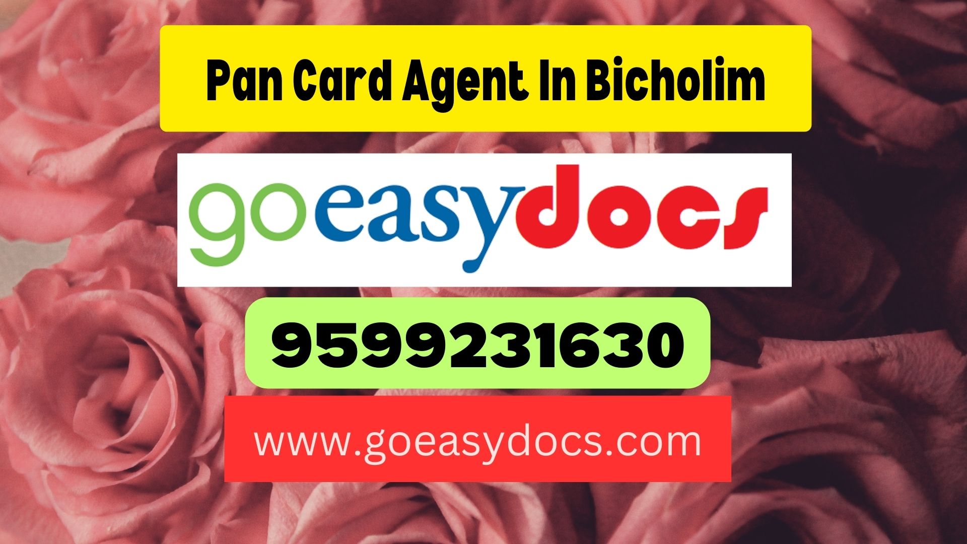 Pan Card Agent Consultant in Bicholim 8851415812