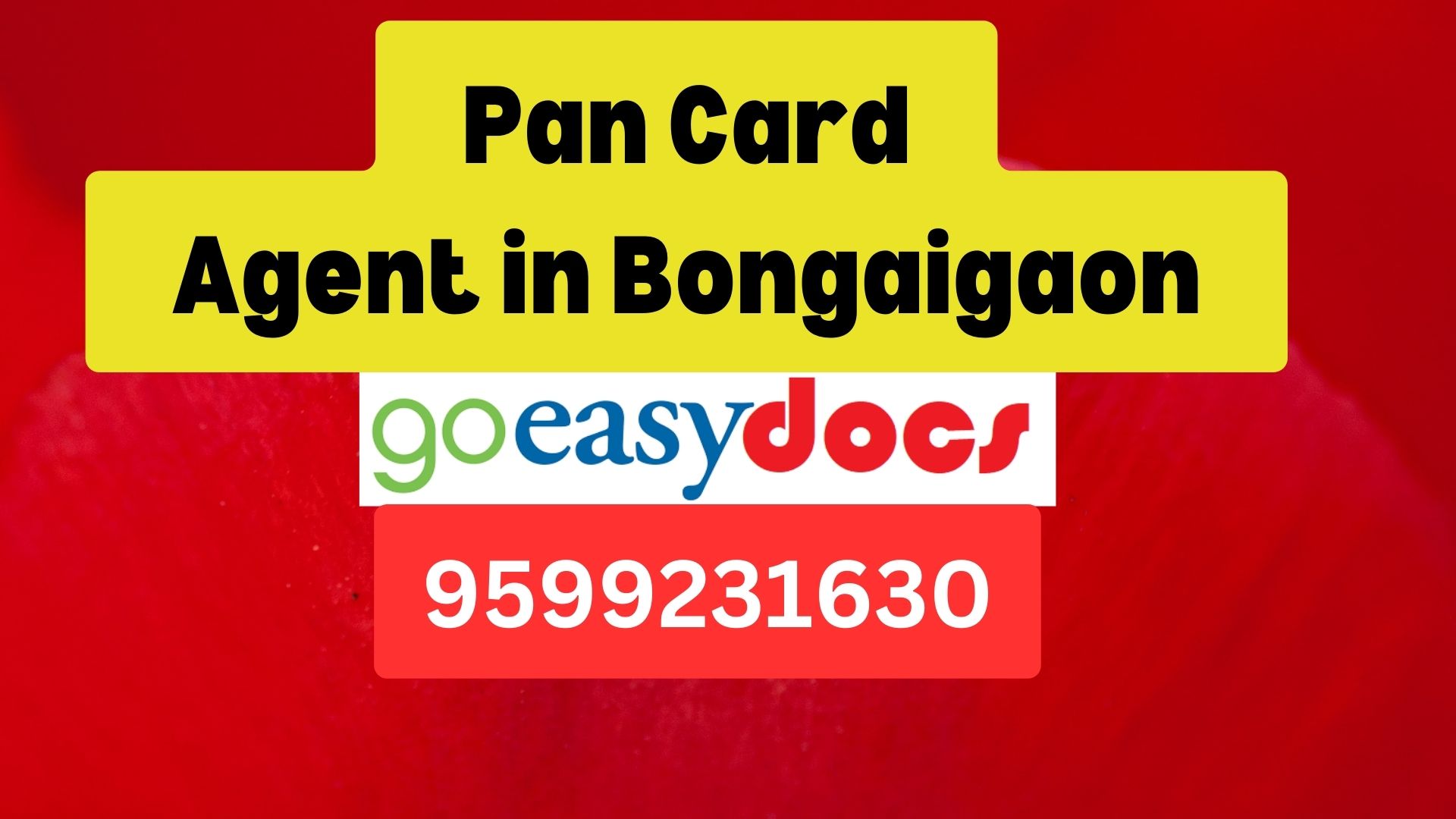 Pan Card Agent Consultant in Bongaigaon  8851415812