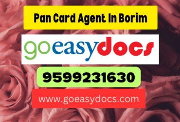 Pan Card Agent Consultant in Borim 8851415812