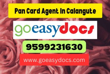 Pan Card Agent Consultant in Calangute 8851415812