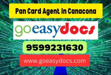 Pan Card Agent Consultant in Canacona 8851415812