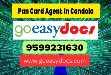 Pan Card Agent Consultant in Candola 8851415812