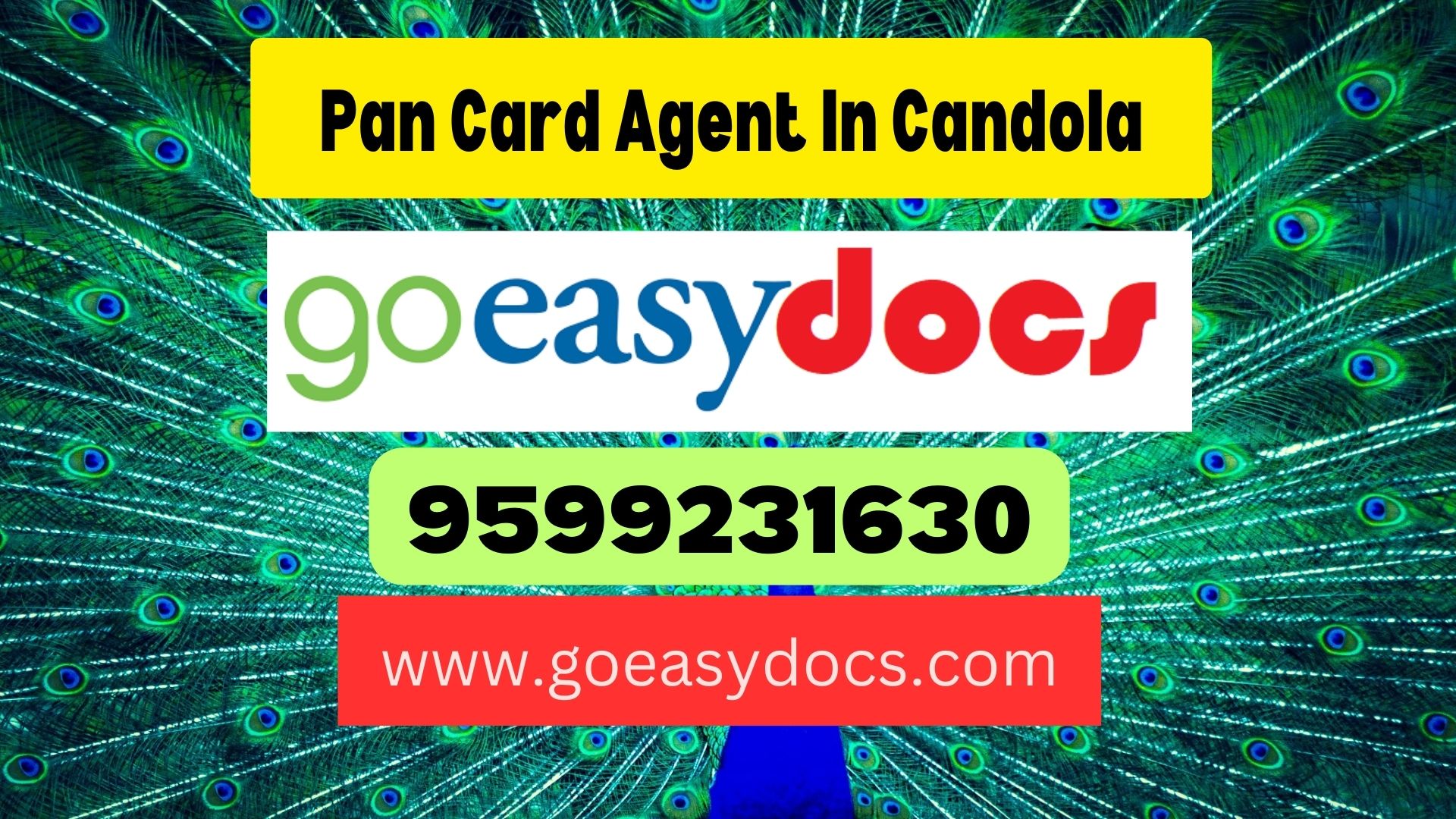 Pan Card Agent Consultant in Candola 8851415812