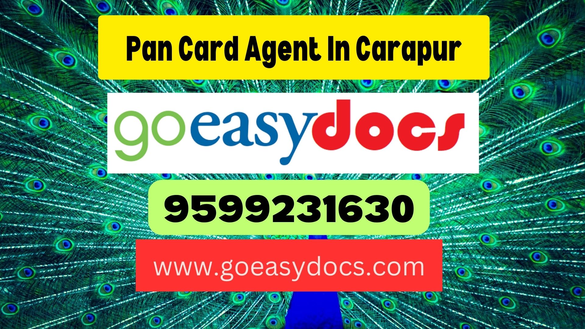 Pan Card Agent Consultant in Carapur 8851415812