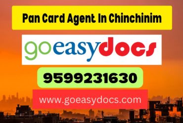 Pan Card Agent Consultant in Chinchinim 8851415812