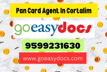 Pan Card Agent Consultant in Cortalim 8851415812