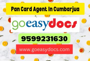 Pan Card Agent Consultant in Cumbarjua 8851415812